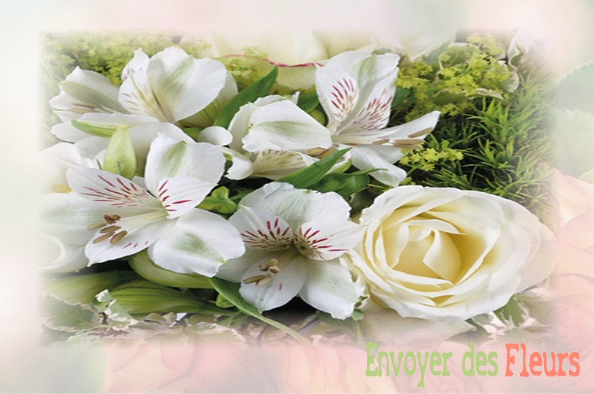 envoyer des fleurs à à SAINT-ROMAIN-SOUS-VERSIGNY